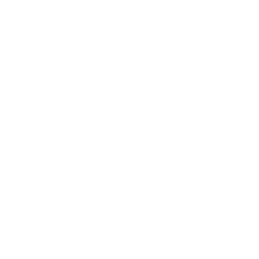 Texas A&M Design Build Fly seal